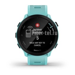 Умные часы Garmin Forerunner 55 Aqua
